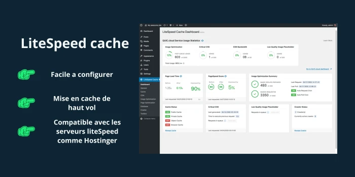 plugins wordpress LiteSpeed cache